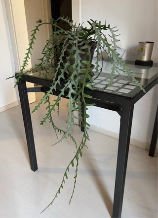 Planta artificial XL realista con maceta