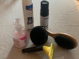 Set toelettatura cane/gatto