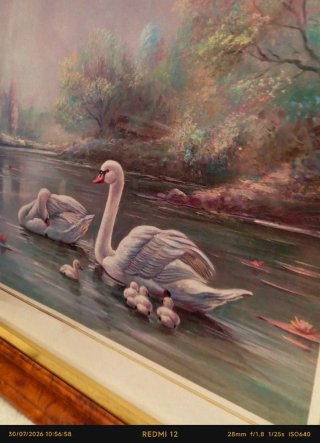 Cuadro de cisnes en marco de madera