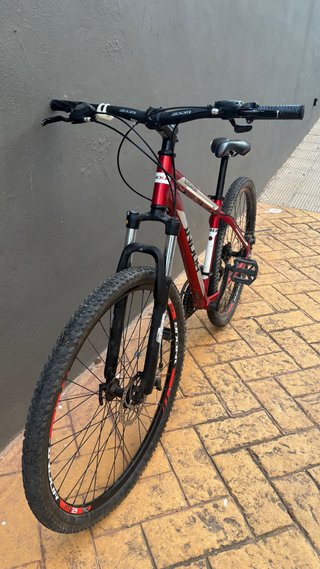 Bicicleta Montañera Indur 29