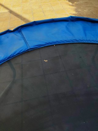 Cama elástica con red de seguridad
