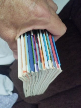Lote de 12 revistas Sàpiens.