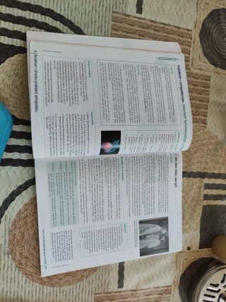 Filosofia, 4 ESO, Comunidad en red