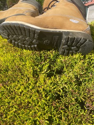 Botas Timberland Tam. 42
