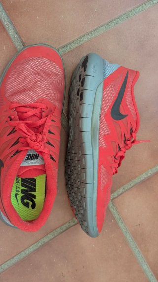 Nike Free 5.0 Deportivas Running Fitness Gris/Rojo