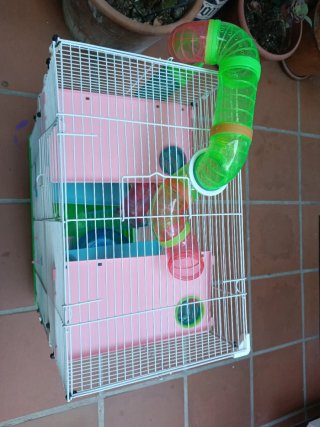Jaula Hámster con Tubos y Accesorios