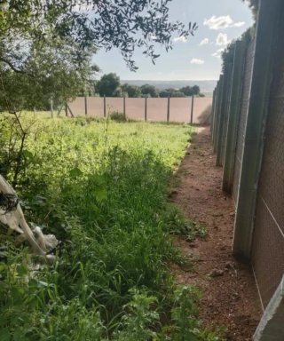 Se vende parcela
