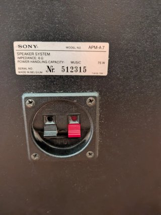 Altavoces Sony Negros