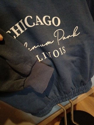 Sudadera corta Lefties Chicago Millenium Park S
