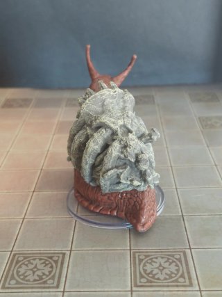 Bone Whelk