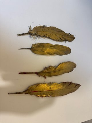 Plumas de PLEX   LA VELADA DEL AÑO VI