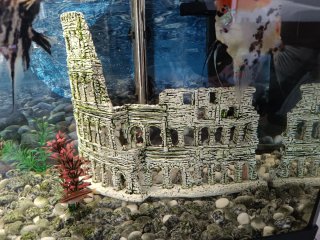Acuario completo con mueble