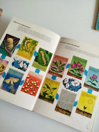 Colección cromos El Porqué de las cosas Bimbo