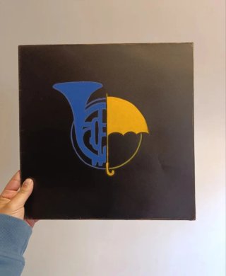 Fundas personalizadas para vinilos