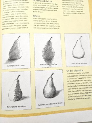 Corso di disegno per principianti