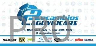 Extintor Polvo contra Incendios 53050033702