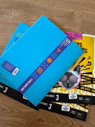 Matemàtiques 3, Segon Cicle Primària, Fanfest
