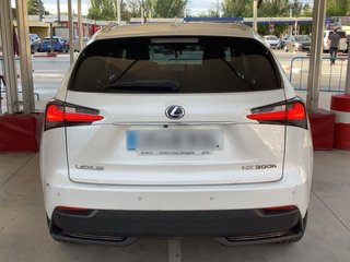 Lexus NX 2.5 300h Business Navigation 2WD