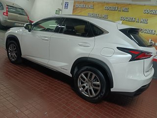 Lexus NX 2.5 300h Business Navigation 2WD