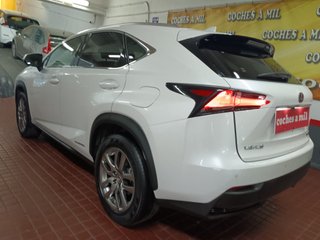Lexus NX 2.5 300h Business Navigation 2WD
