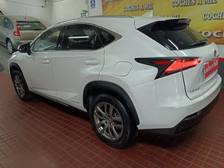 Lexus NX 2.5 300h Business Navigation 2WD