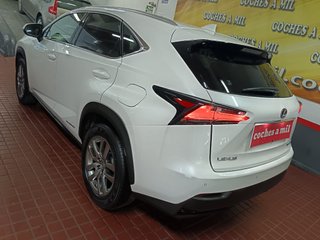 Lexus NX 2.5 300h Business Navigation 2WD