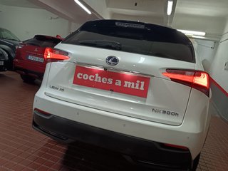 Lexus NX 2.5 300h Business Navigation 2WD