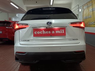 Lexus NX 2.5 300h Business Navigation 2WD