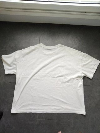 Camiseta Superdry Multicolor