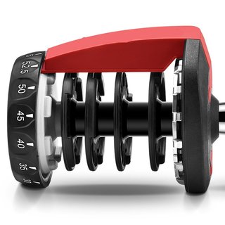 Mancuerna Ajustable 2.5-24kg (1 UNIDAD)