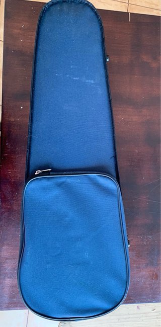 Viola Paganini 1/2 con estuche y arco