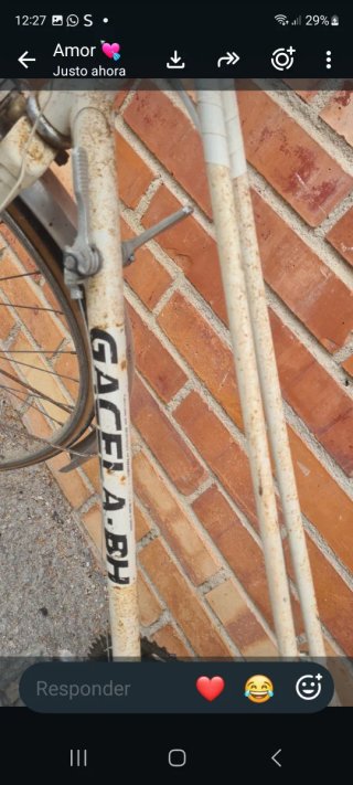 Bicicleta Gacela BH vintage .
