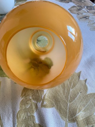 Tulipas de cristal naranja