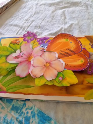 Che divertimento! Libro pop-up