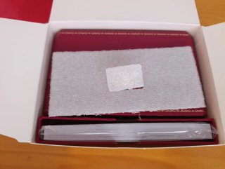 CARTIER SANTOS