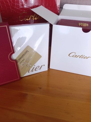 CARTIER SANTOS