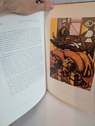 ANTONI MIRO - UNE DECADE DE PINTEU PINTURA