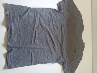 Camiseta The North Face Gris