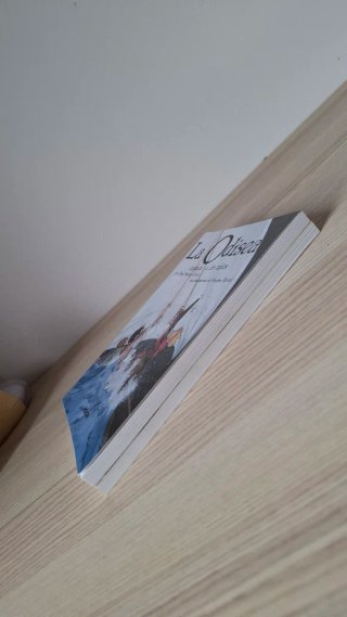 Coleccion de libros La Iliada y La Odisea