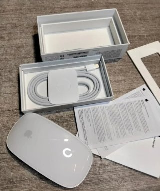 Apple Magic Mouse (USB-C) Blanco