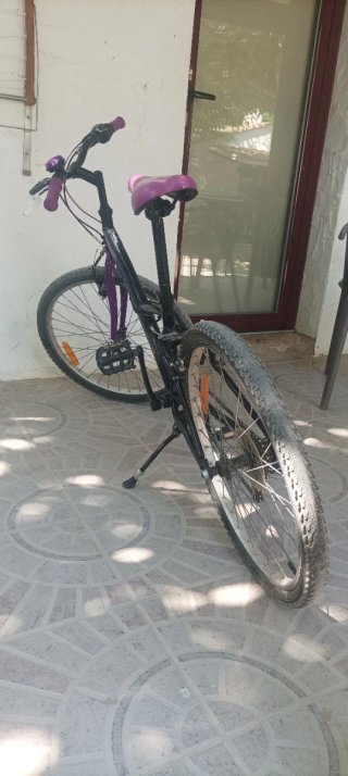 Bicicleta Edición Limitada 24