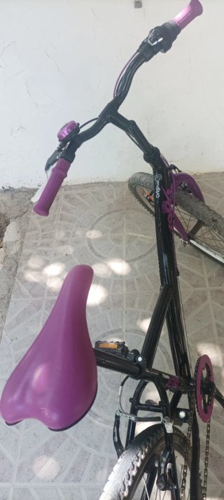 Bicicleta Edición Limitada 24