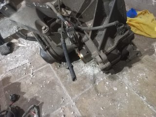 Ford Focus 98-04 1.6/1.4 16v Gasolina