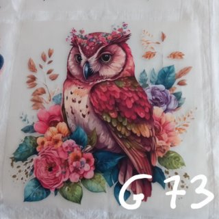 Transfer DTF Textil grande a elegir