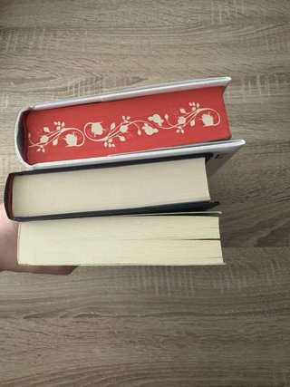 Libros guardasangre fantasia lote