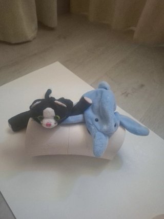 Delfín de peluche azul y gatito