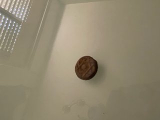 Moneda antigua Felús musulmán español