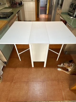 Mesa plegable blanca con 4 sillas