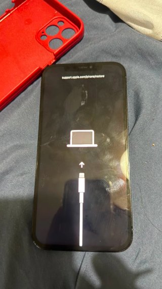 iPhone 12 Pro Max per parti o riparazione