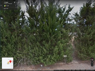 Parcela rustica en venta
